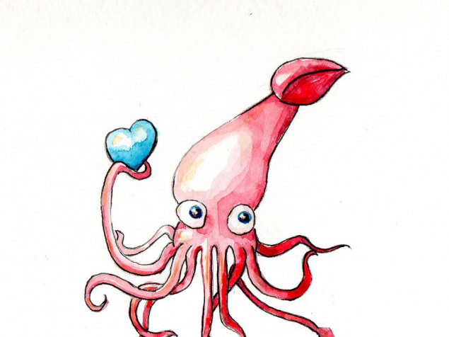 Cephalopods - Love