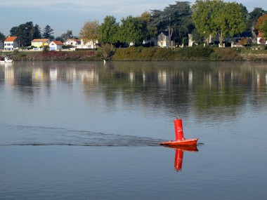 Estuaire de la Loire