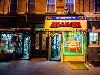 Vinyl Shop in New York