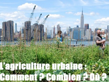 L'agriculture urbaine