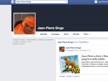 JEAN PIERRE SINGE