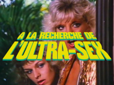 À la recherche de l'ultra-sex, de Bruno Lavaine et Nicolas Charlet.