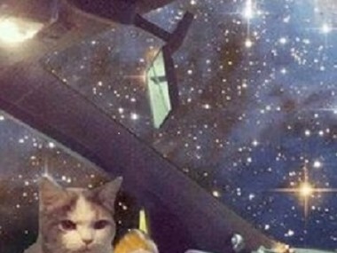 futur cat in the space