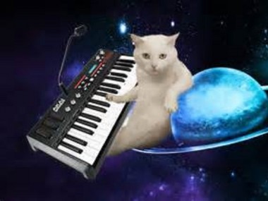 Cats on Synth