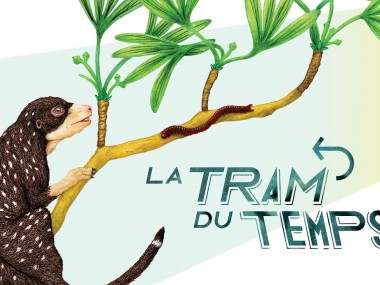 La Tram' du temps #3 : les palmiers, une des plus vieilles espèces végétales du monde