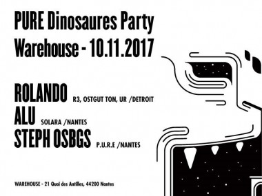 PURE Dinosaures Party