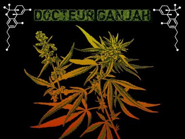 Docteur Ganjah - Médicinale