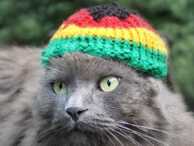 rasta chat motherfucker