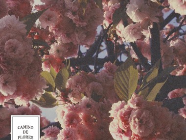 Camino De Flores, l'album floral du producteur anglais El Buho