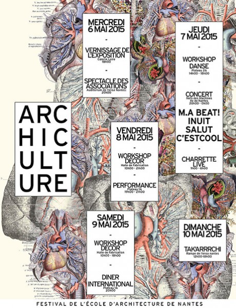 Archiculture