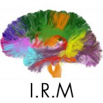 Logo I.R.M